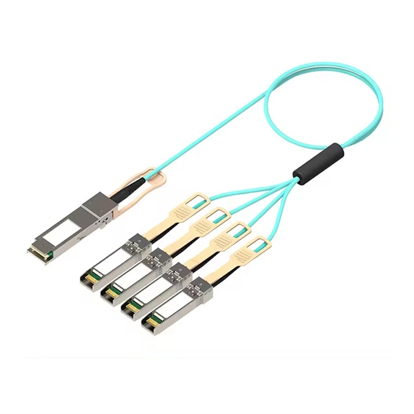 Fiber optic model FC