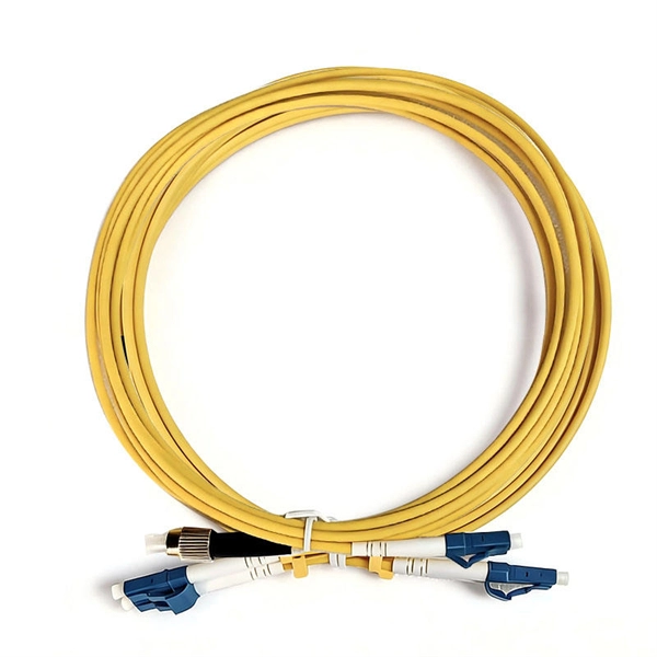 Luxembourg Cost-Effective Access Switch 100G