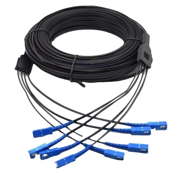 Switches connect to the Internet