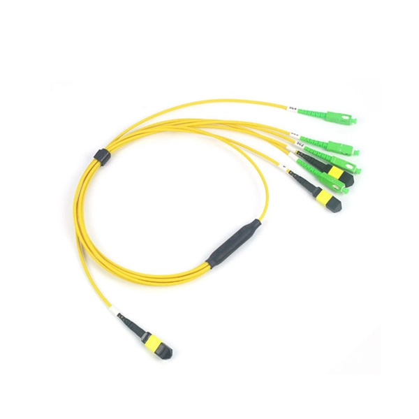Zimbabwean agent for 200G optical network switches