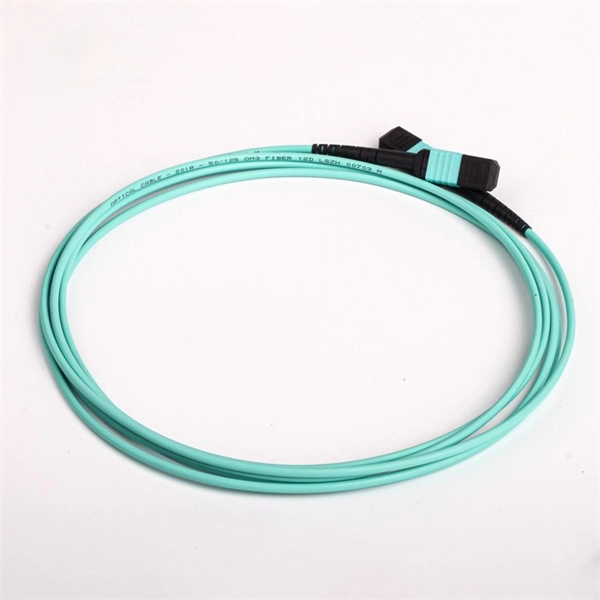 Convert the switch s network cable port to a fiber optic port