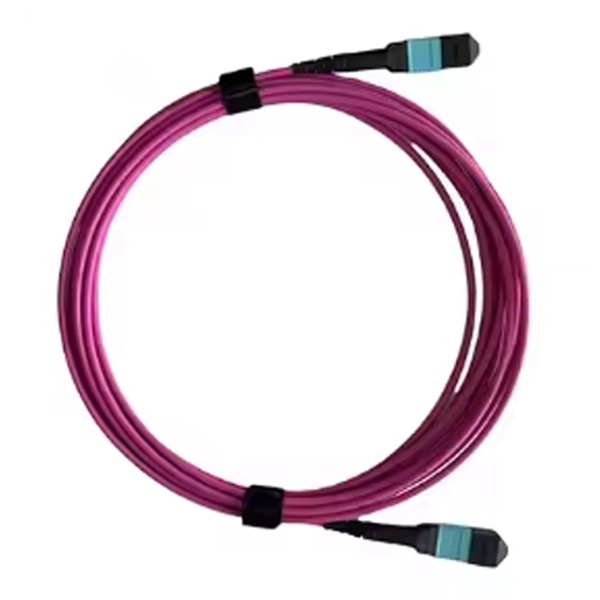 Network Equipment Cabling Principles