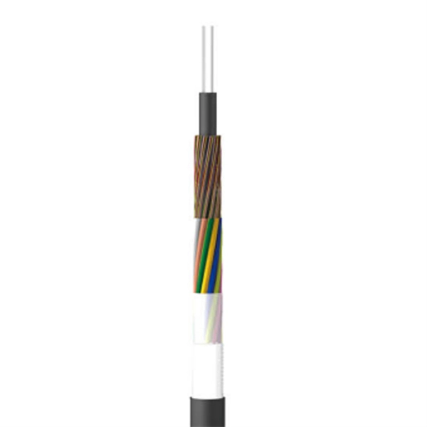 Future Development Trends of the Optical Module Industry