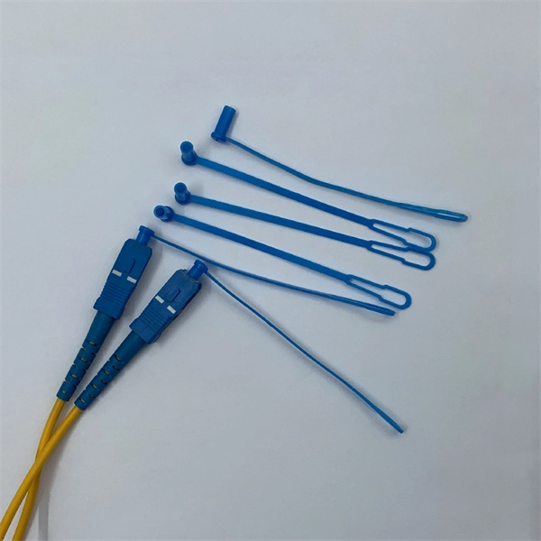 CWDM Optical Module CC Solution