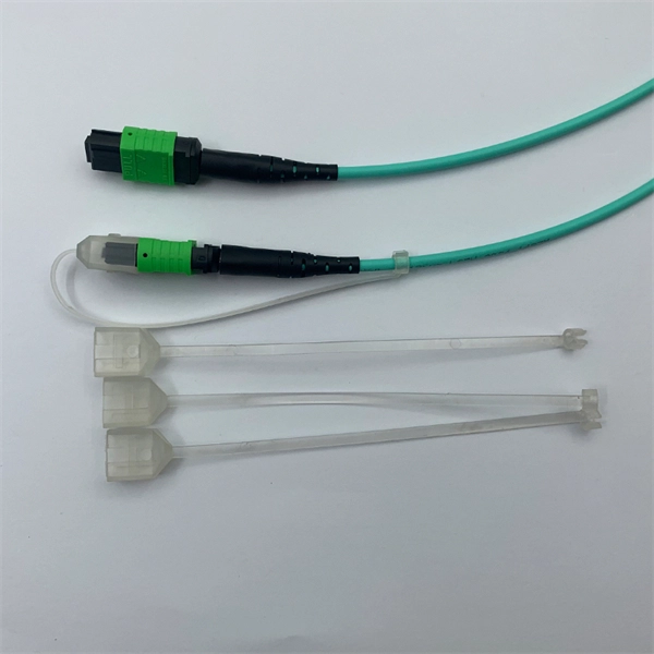 Multimode fiber optic 8g