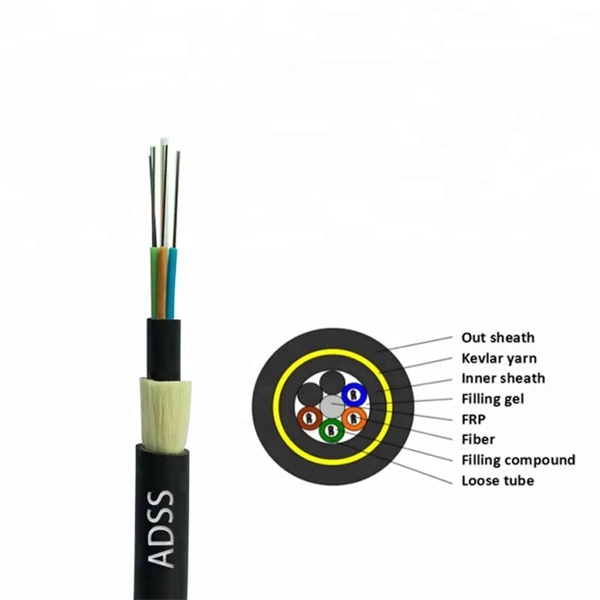 Transmitter and Receiver of the Optical Module