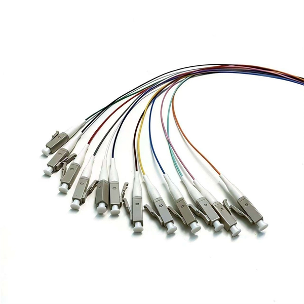 Wss optical module